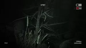 Outlast 2 torrent